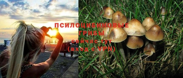 соль курить ск Богородицк
