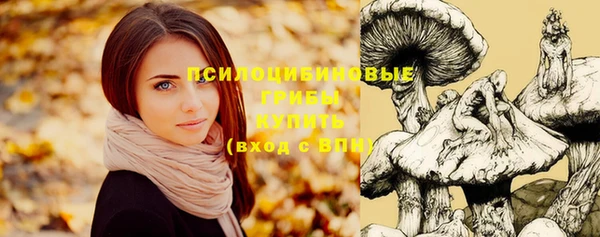 герыч Богданович